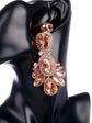 Elle Crystal Drop Earrings