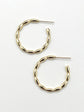 Strap Gold Girls Hoop Earrings (7 / PACK)