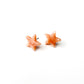 Star Stud Style Earrings