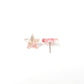 Star Stud Style Earrings