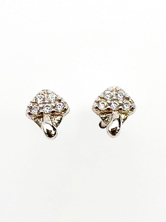 Sumeruish Tiny Studs Earrings